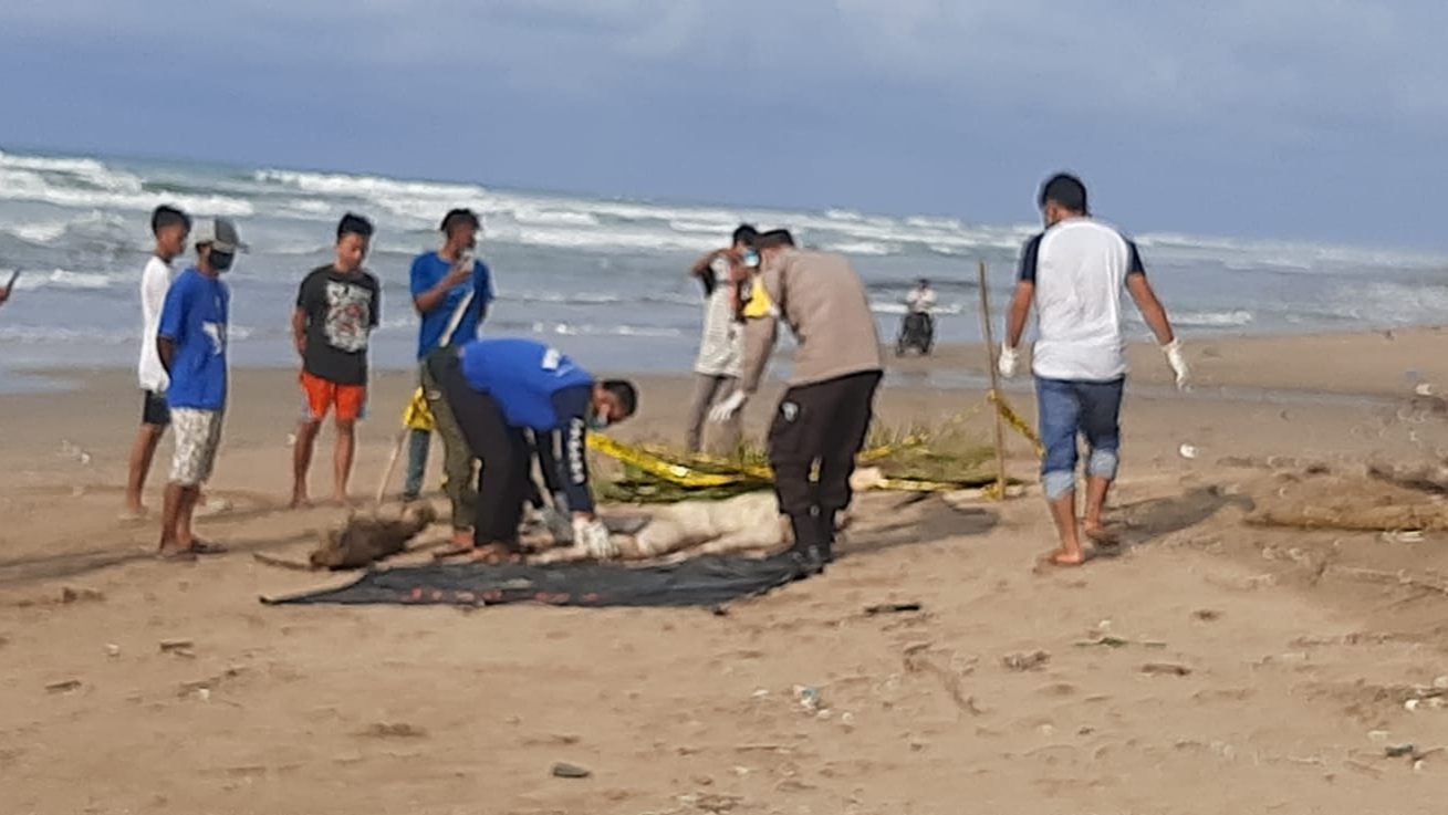 Geger, ! Penemuan Mayat Tanpa Busana Dipinggir Pantai Tanjungan ...