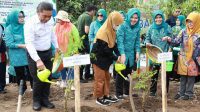 Penjabat Gubernur Banten Al Muktabar Launching Gerakan Menanam Sejuta Pohon Kelor