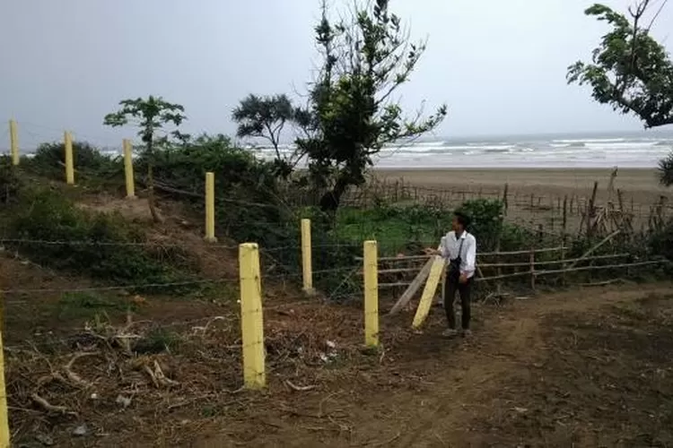 Tambak Udang PT. SDB Di Kecamatan Malingping, Diduga Serobot Lahan Sempadan Pantai