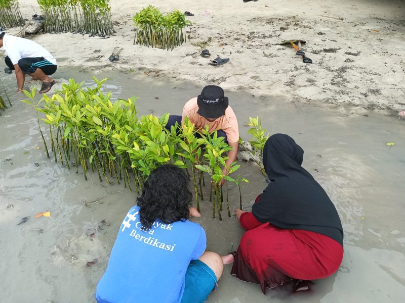 Kamar Ijo Community berkolaborasi untuk memerangi perubahan Iklim dengan Menanam Mangrove di Pulau Tidung Kecil, Kepulauan Seribu, DKI Jakarta