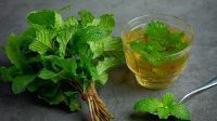 10 Minuman Herbal untuk Pencernaan Sehat
