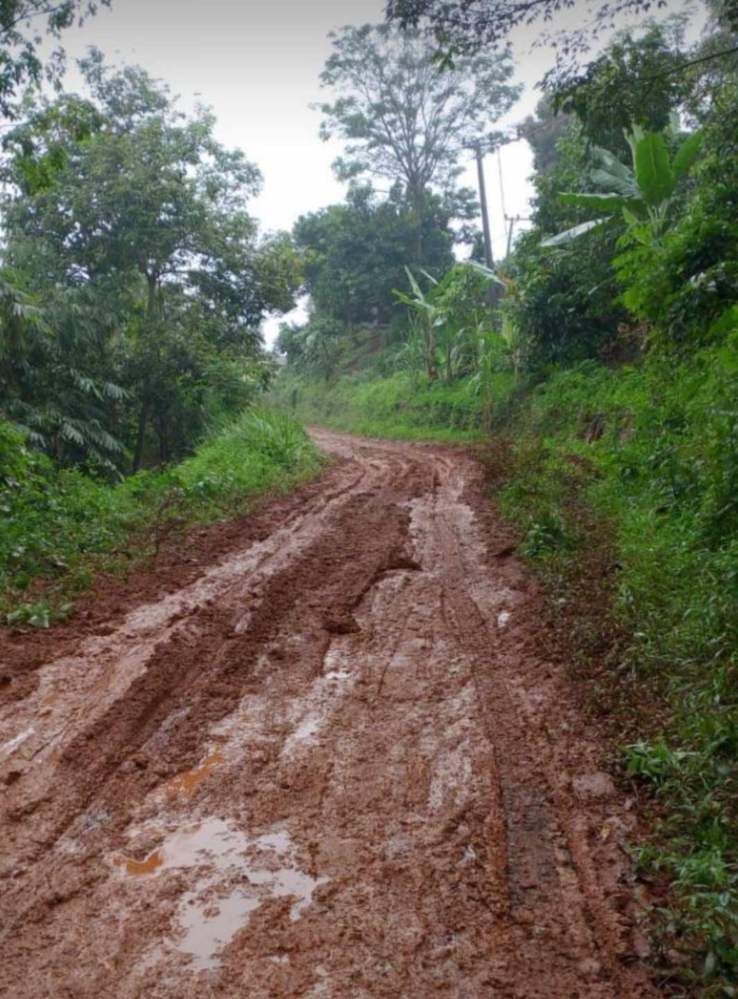Jalan Desa Pasir Nangka Lebak Rusak Parah, Warga Minta Pemda Segera Perbaiki