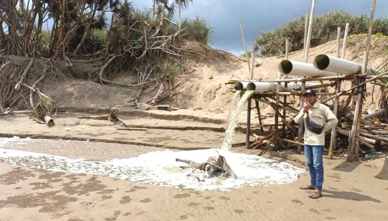 Perusahaan Tambak Udang di Pantai Bagedur Buang Limbah Langsung ke Laut