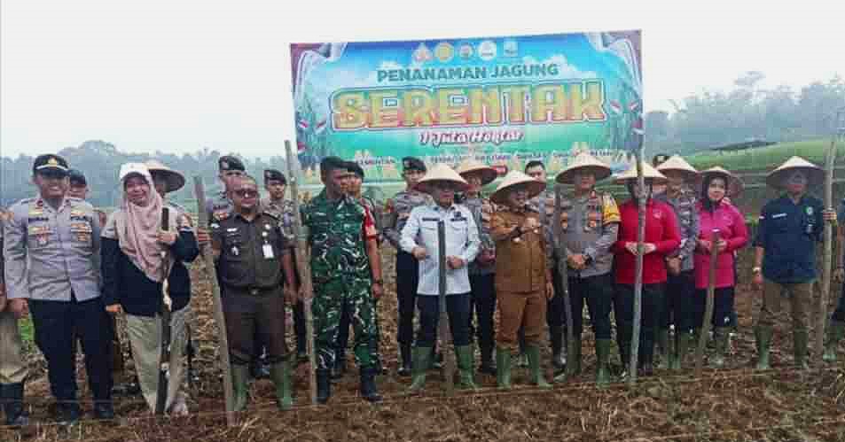 Penanaman Jagung Serentak Satu Juta Hektare di Tanah Datar, Dukung Swasembada Pangan