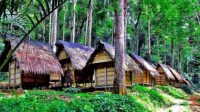 Ritual Adat Kawalu: Kawasan Baduy Tertutup bagi Pengunjung dari 1 Februari hingga Mei 2025