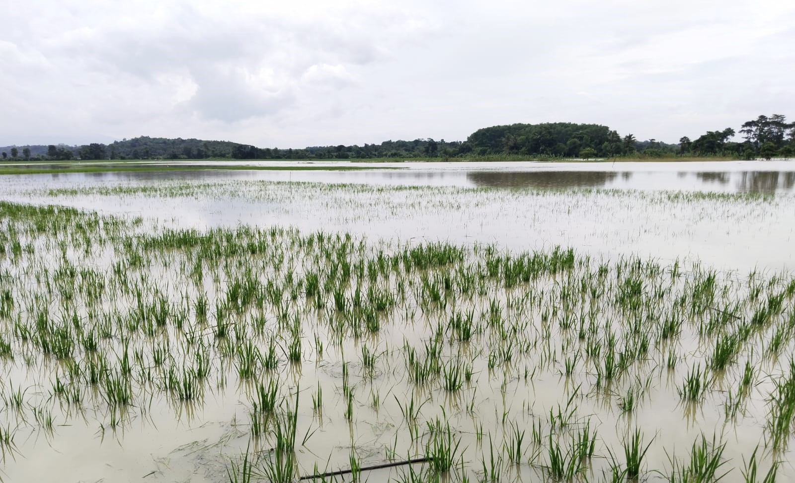 Masyarakat Desa Cisangu Ajukan RDP ke DPRD Lebak, Desak Solusi Atasi Banjir Akibat Proyek Tol Serang-Panimbang